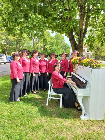 Dāmu deju grupa "Kamene"